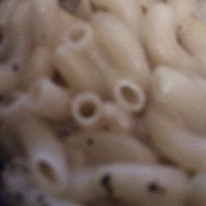 Meet your Posher, William